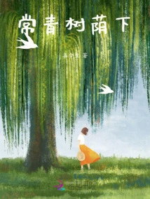 Under the Shade of Evergreen Trees