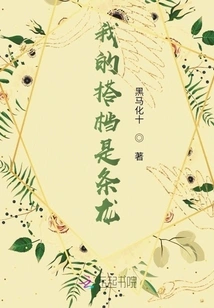 My Partner is a Dragon