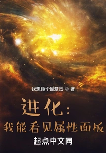 Evolution: I Can See the Properties Panel