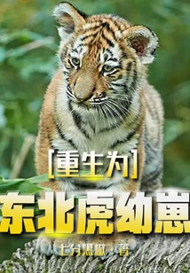 Reborn as a Siberian Tiger Cub