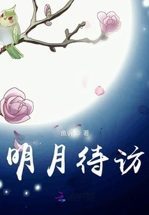 The Bright Moon Awaits a Visit