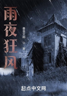 Rainy Night and Strong Wind