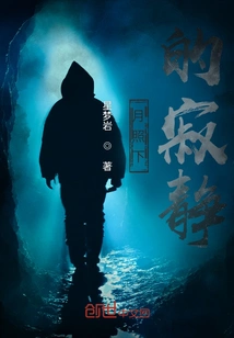 Silence under the Moonlight