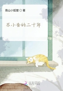 Su Xiaocha's Twenty Years