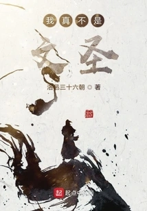 I'm Really Not a Literary Saint