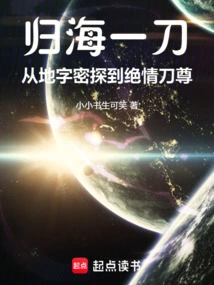 Returning to the Sea with a Knife: from the Secret Agent of the Land to the Ruthless Sword Master