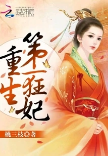 Rebirth of the No. 1 Crazy Concubine