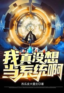 I Really Don't Want to Be a System