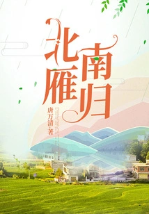 Northern Wild Geese Return South