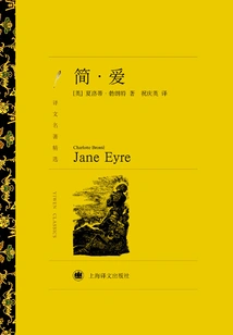 Jane Eyre (selected Translations of Famous Works)
