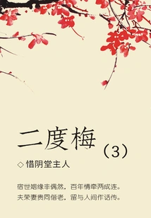 Classical Novels: Second Plum (3)