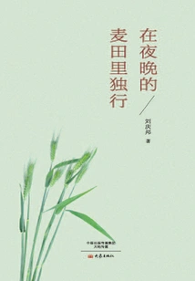 Walking Alone in the Wheat Fields at Night