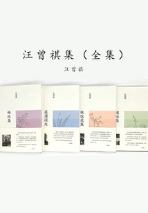 Collection of Wang Zengqi (complete Works)
