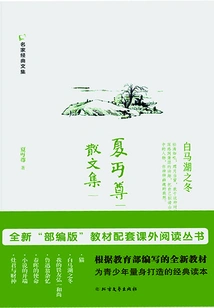 Collection of Essays by Xia Chuzun