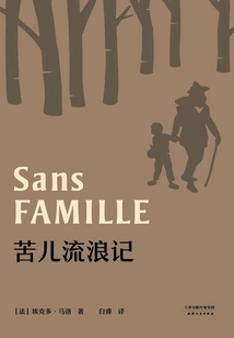 The Wandering Story of a Bitter Child