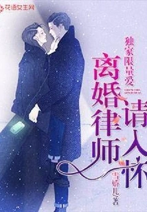 Exclusive Limited Love: Divorce Lawyers Please Come into Your Arms