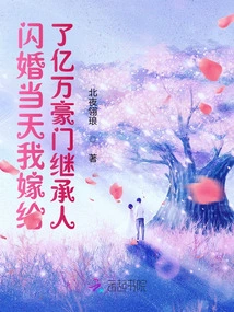 On the Day of My Flash Wedding, I Married the Heir to a Billionaire Family