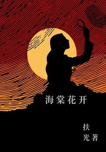 Begonia Flowers Bloom