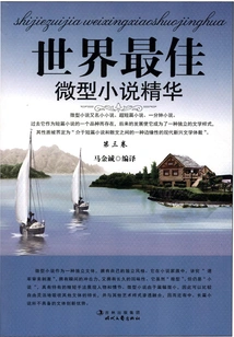 The Essence of the World's Best Micro-novel·volume 3