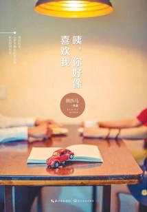 Hey, You Seem to Like Me?