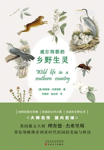 Wiltshire Countryside Spirits