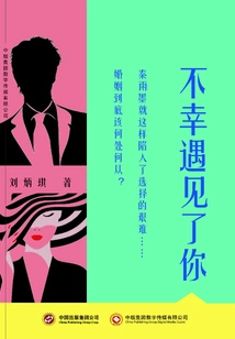 Unfortunately I Met You