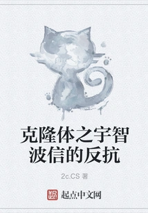 Clone Uchiha Shin's Resistance