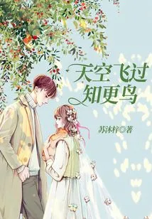 Flying Robin in the Sky