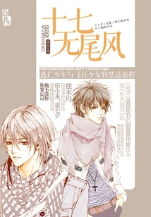 Seventeen Without Tail Wind