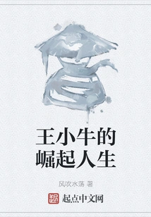 The Rising Life of Wang Xiaoniu