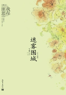 Mist Siege (volume 2)