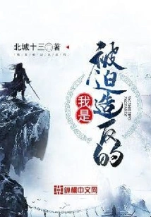 I Was Forced to Rebel