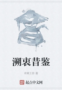 Drawing Lessons from the Past