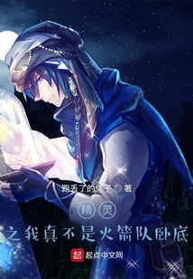 Elf I Am Really Not an Undercover Agent of Team Rocket