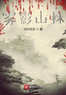 Fog Shadow Mountain Forest