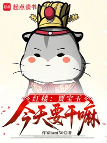 Red Mansion: What is Jia Baoyu Going to Do Today?