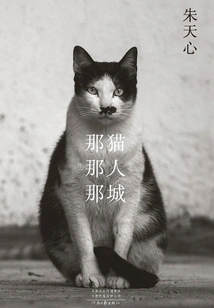 That Cat, That Person, That City