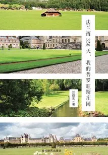 356 Days in France, My Provence Manor