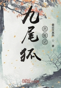 The Adventures of the Nine-tailed Fox