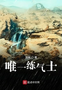 The Only Qi Practitioner