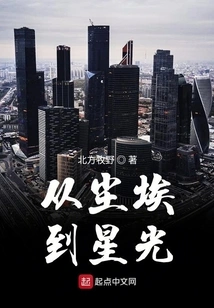 From Dust to Starlight