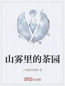 Tea Garden in the Mountains