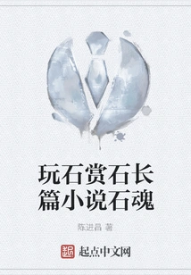 The Novel Stone Soul by Playing with Stones and Appreciating Stones