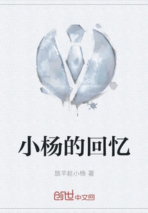 Xiao Yang's Memories