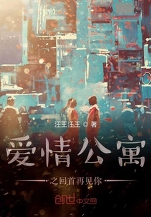 Love Apartment: Looking Back and Seeing You Again