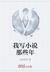 The Years I Wrote Novels