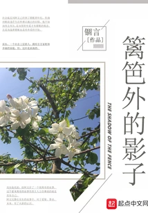 Shadow Outside the Fence