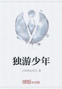 A Boy Traveling Alone