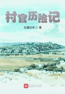 Adventures of Village Official