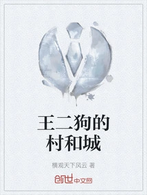 Wang Ergou's Village and City